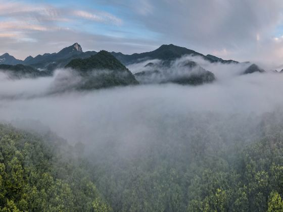 신룡곡