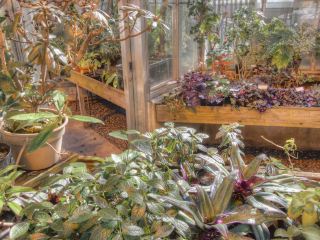 伏尾温泉近くの人気ホテル