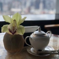 Aura Lounge User Photo