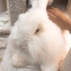 張貓貓咖啡（大華店）張用戶圖片