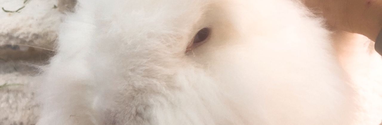 張貓貓咖啡（大華店）