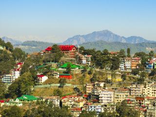 Shimla Vacation Packages
