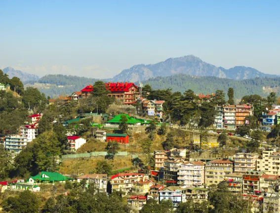 Hotels near Beas river view point