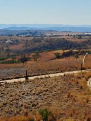 Maropeng: Official Visitor Centre for the Cradle of Humankind World Heritage site