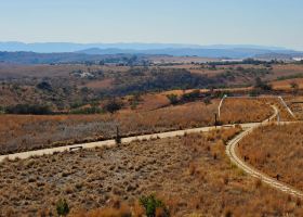 Flüge mit Smartwings nach Johannesburg