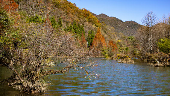 Hefeng