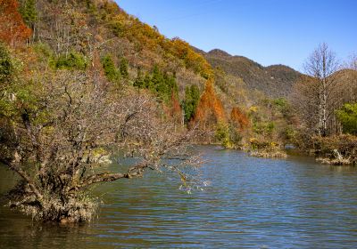 東家河風景区