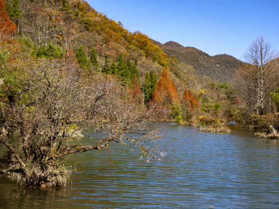 東家河風景区