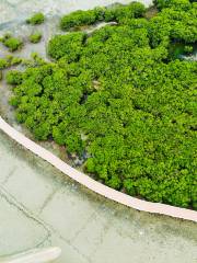 Techengdao Hongshulin Wetland Park