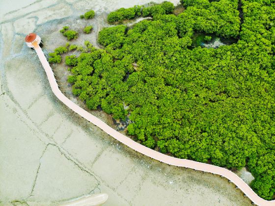 Techengdao Hongshulin Wetland Park