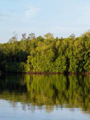 Sipadan Mangrove Resort