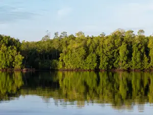 Sipadan Mangrove Resort