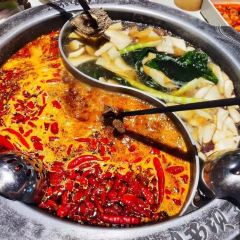 Pho Bowl Vietnamese Restaurant User Photo