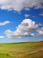 內蒙大草原