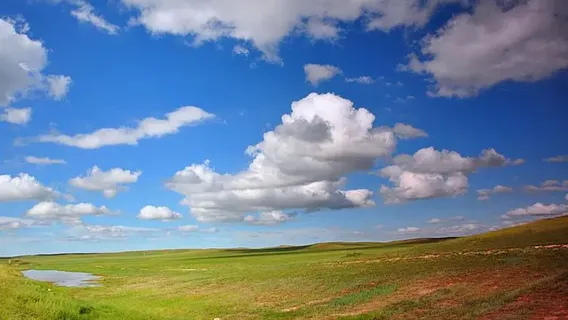 Inner Mongolia Prairie