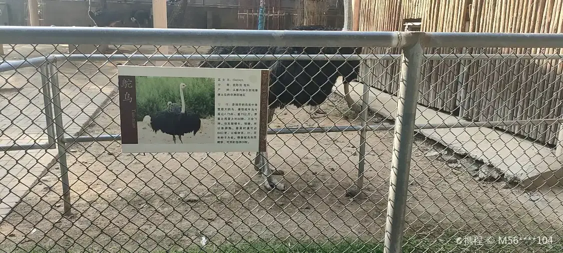 왕청공원 동물원 주변 호텔