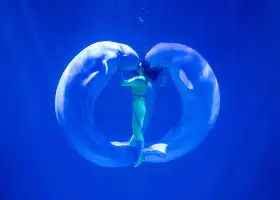 Harbin Polarland·Polarland