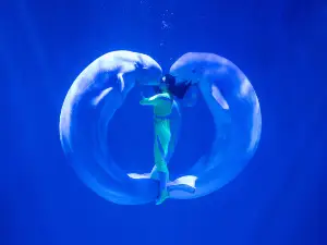 Harbin Polarland·Polarland