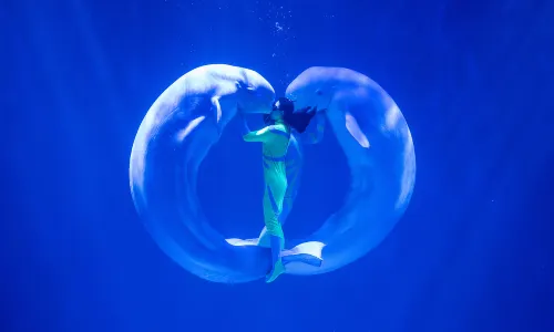 哈爾濱極地公園·極地館