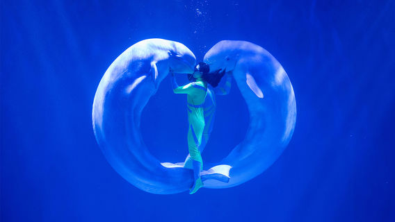 Harbin Polarland·Polarland