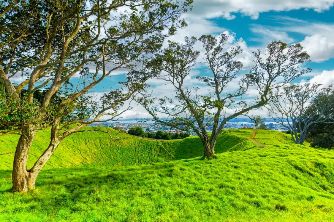 Hotel in zona Eden Garden