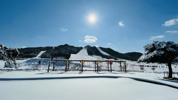 滑雪