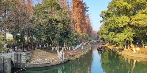 中坡國家森林公園