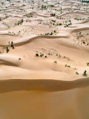 Kubuqi Desert Park （North Gate）