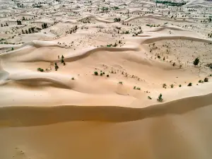 Kubuqi Desert Park （North Gate）