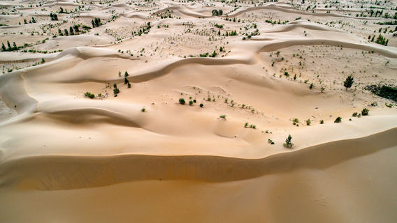 Kubuqi Desert Park （North Gate）