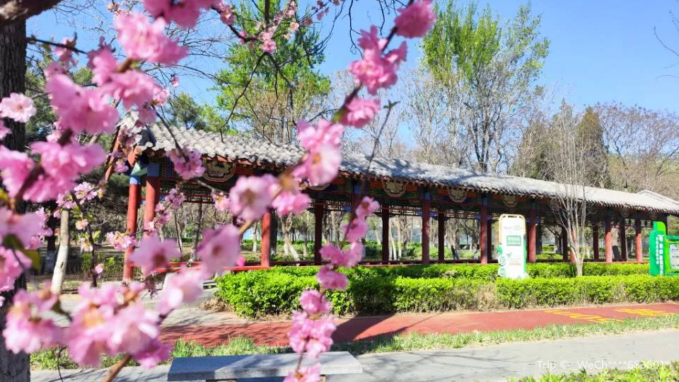 4_Banbidian Forest Park