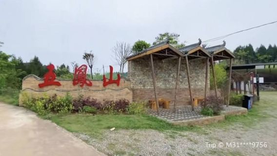 Пуаньшаньский лесной парк