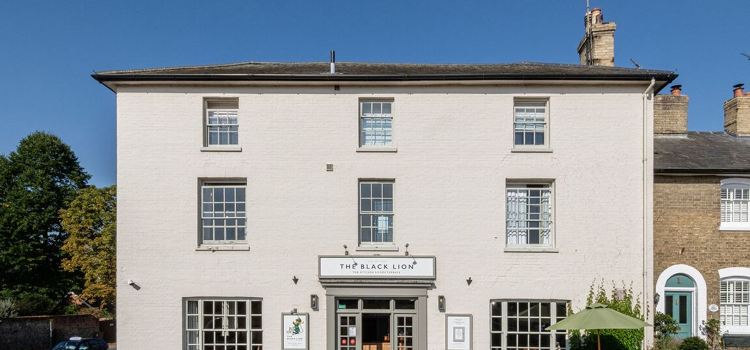 The Black Lion