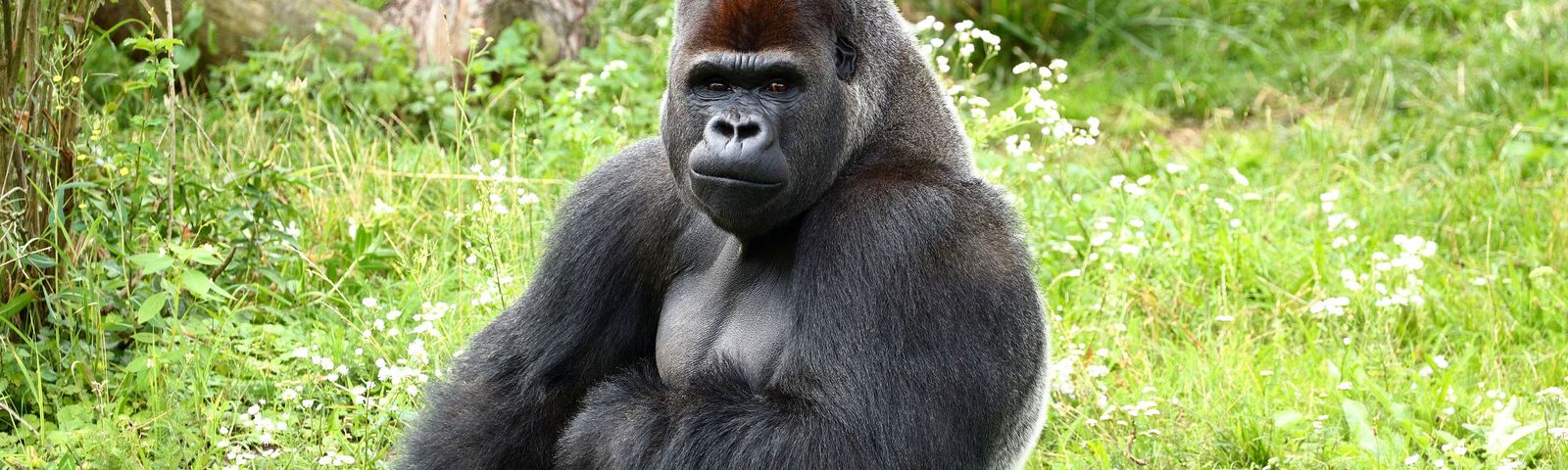 KigaliTour giornalieri