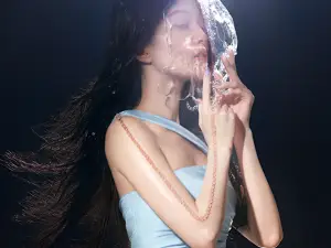 jia xing   ·   2026 zhang shao han wan jia xun hui yan chang hui