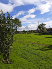 Metropolitano Cayetano Cañizares Park