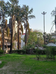 Gandhi Vihar C Block Park