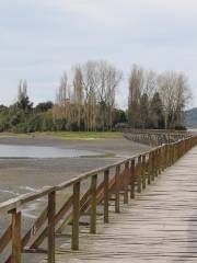 Isla de las Almas Navegantes