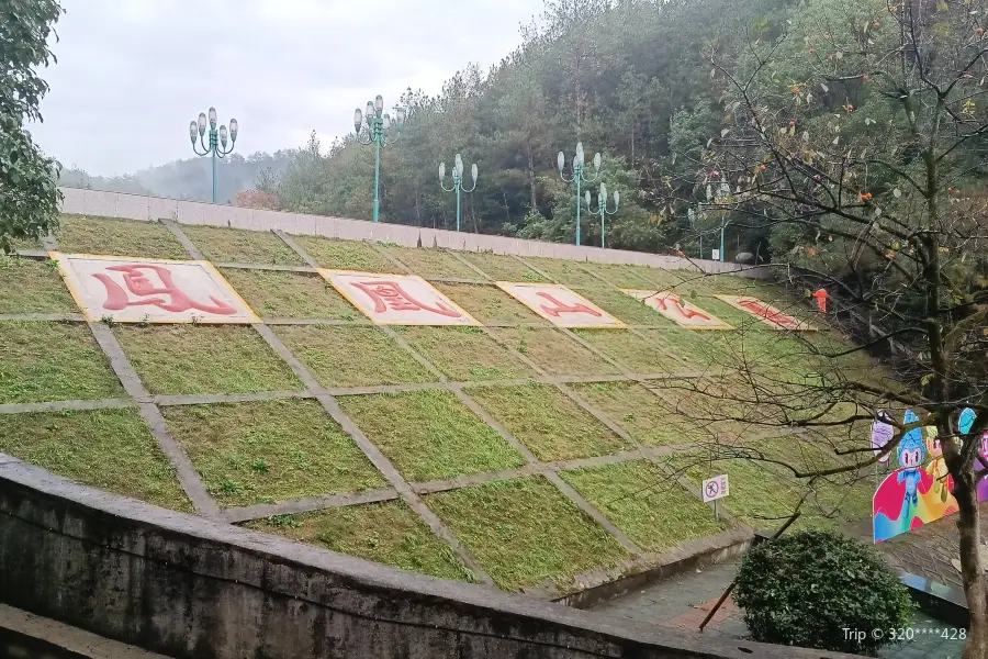 Fenghuangshan Forest Park