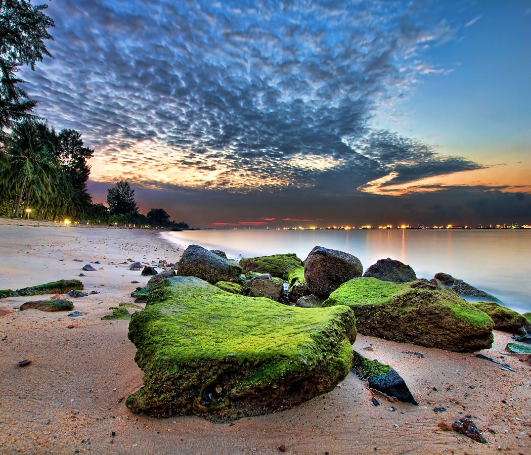 Joo Chiat and East Coast