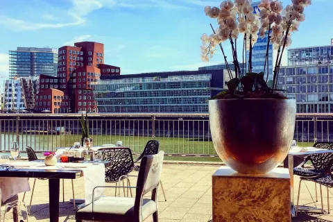 DOX Restaurant & Bar