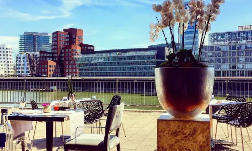 DOX Restaurant & Bar