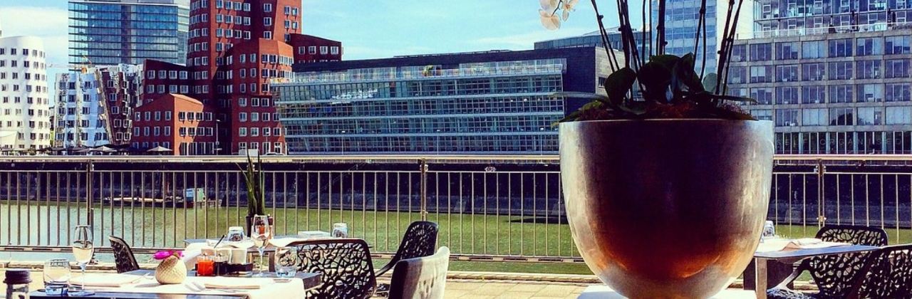 DOX Restaurant & Bar