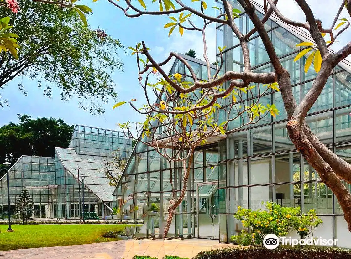 Hotel dekat Taman Menteng