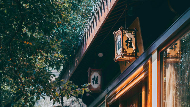 Osmanthus Flower Viewing in Hangzhou