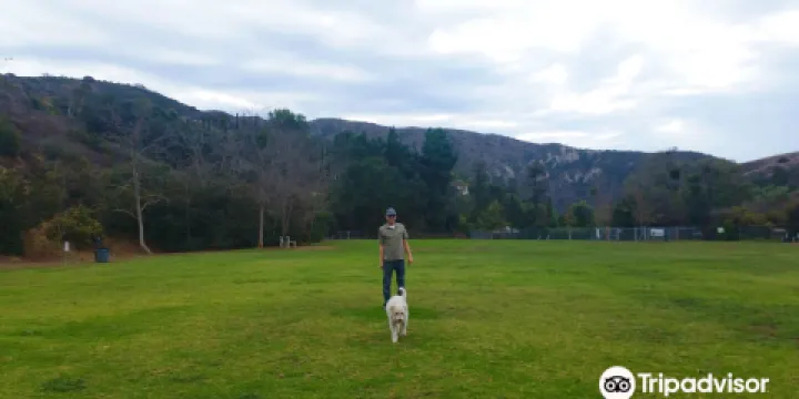 Laguna Beach Dog Park