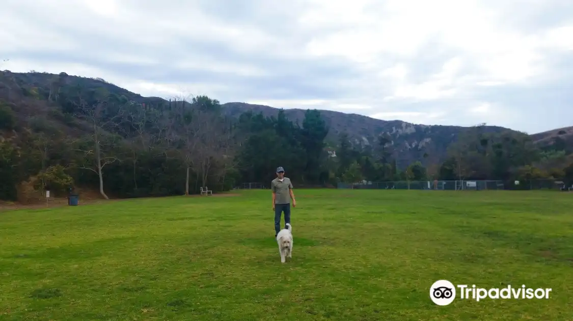 Hotels near Laguna Beach Dog Park