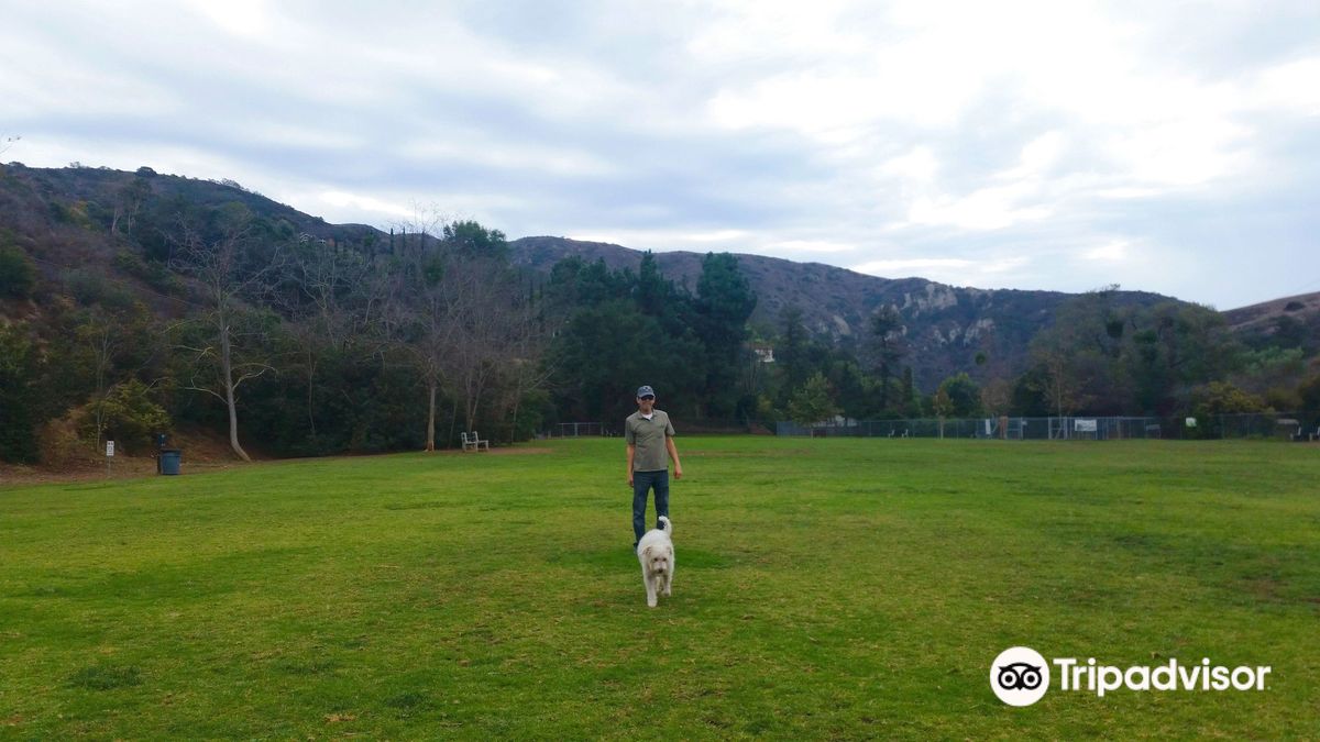 Laguna Beach Dog Park