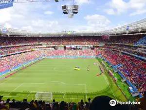 Arena de Pernambuco