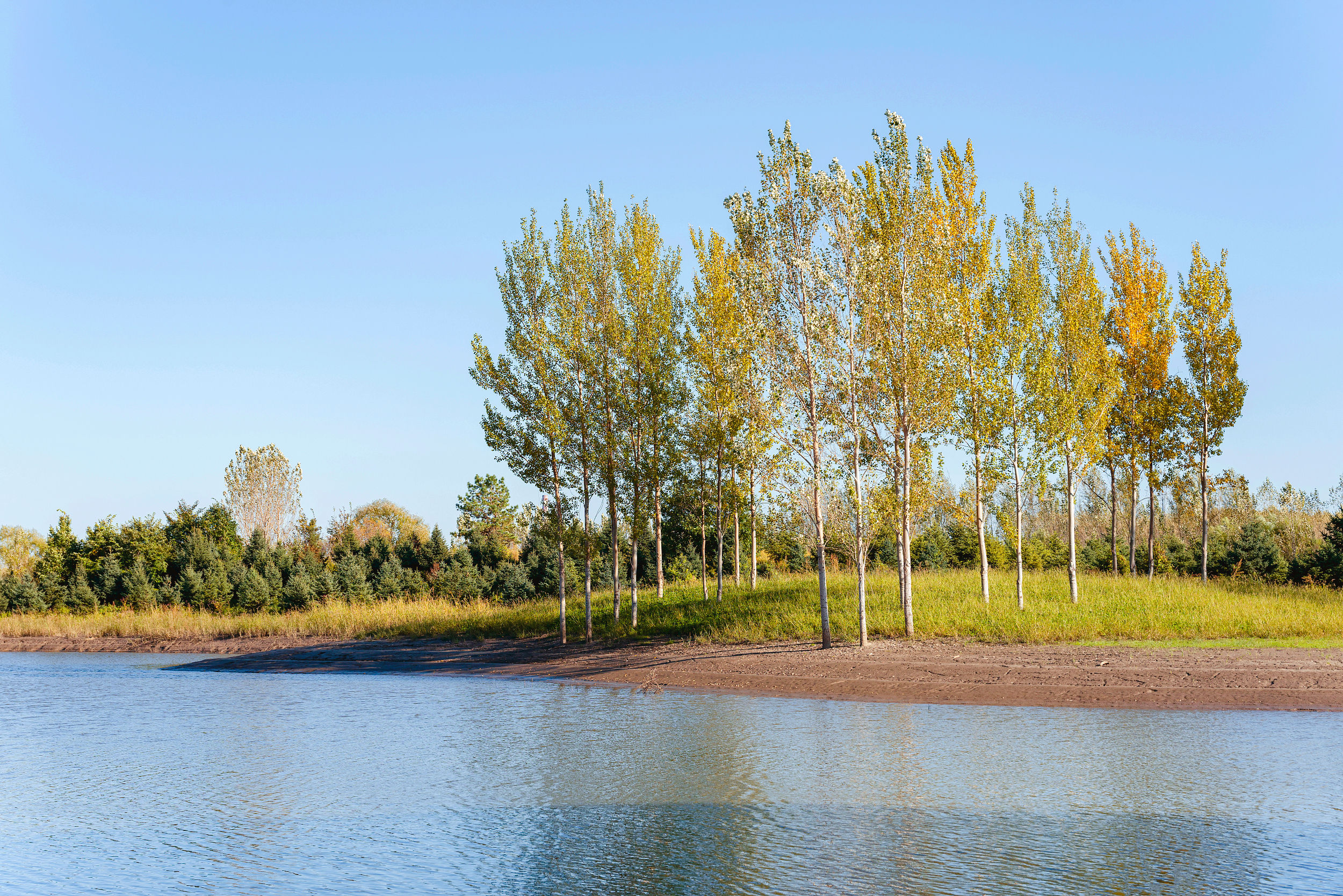 West Dongting Lake Wetland Reserve